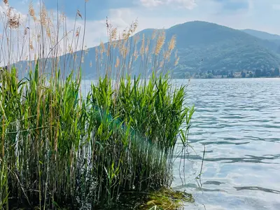 Am See