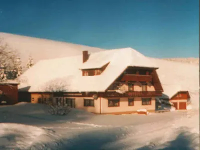 armbruster36_500.jpg