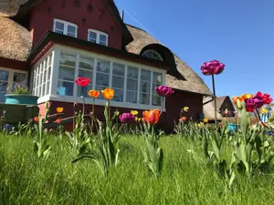 Ferienwohnung für 2 Personen (35 m²) in Nebel
