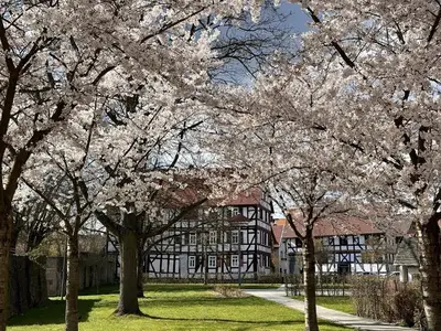 Ferienwohnung für 5 Personen (82 m²) in Neustadt in Hessen 3/10