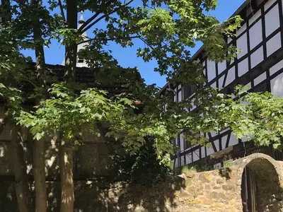 Ferienwohnung für 5 Personen (82 m²) in Neustadt in Hessen 4/10