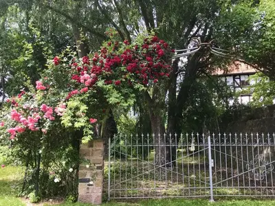 Ferienwohnung für 5 Personen (82 m²) in Neustadt in Hessen 7/10