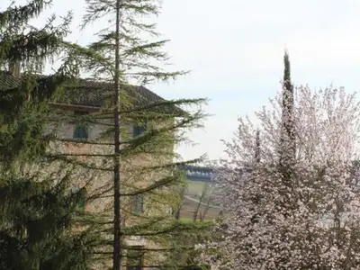 Bild 8