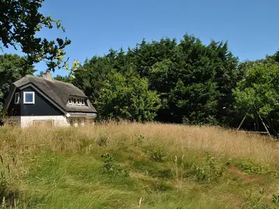 ExteriorSummer