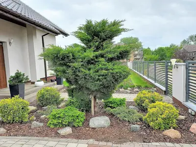 GardenSummer