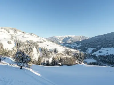 ViewWinter