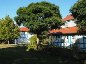 Ferienwohnung für 4 Personen (40 m²) in Dranske