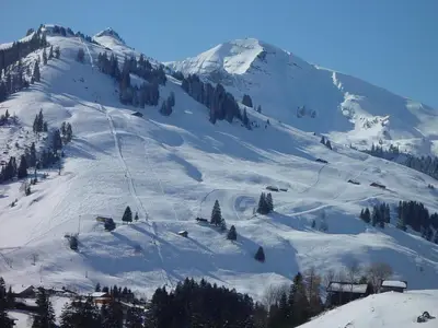 Bild 14