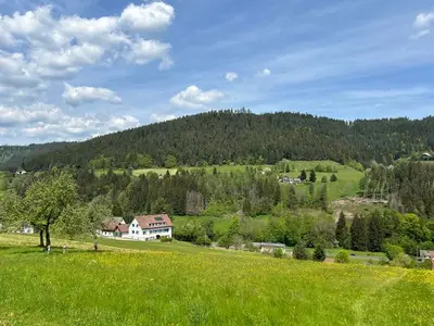 Ferienwohnung für 2 Personen (50 m²) in Baiersbronn 6/10