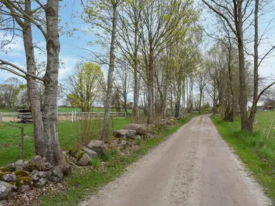 outside