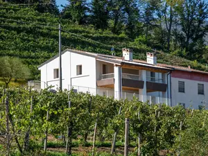 Ferienwohnung für 6 Personen (55 m²) in Farra di Soligo