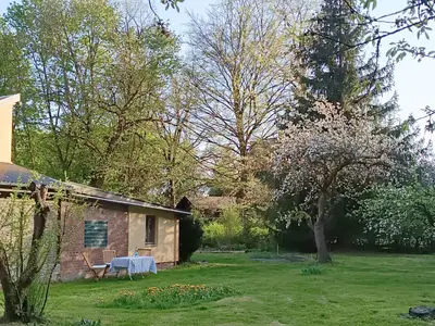 Garten im Frühling