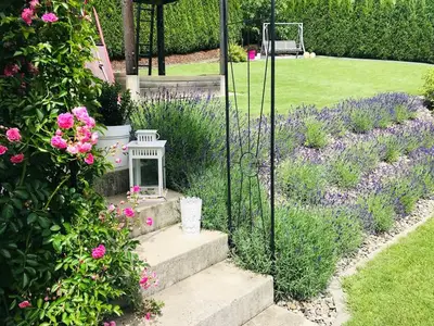 Ferienwohnung für 5 Personen (60 m²) in St. Georgen am Kreischberg 9/10