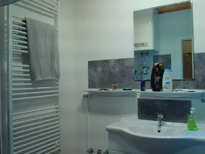 Ferienwohnung für 4 Personen (50 m²) in Flattnitz 7/10