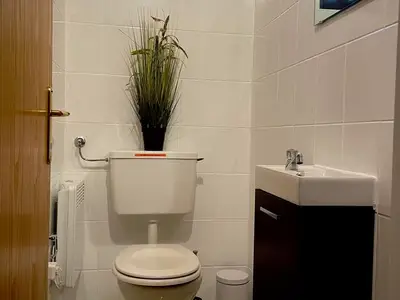 Ferienwohnung für 4 Personen (50 m²) in Flattnitz 8/10