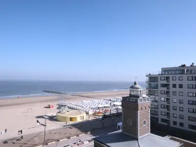 ViewSummer