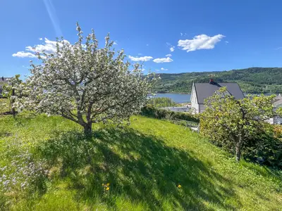 view-from-room