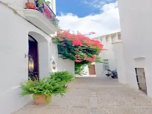 Ferienwohnung für 3 Personen (30 m²) in Vejer de la Frontera