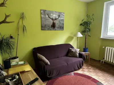 frisch renoviertes Wohnzimmer