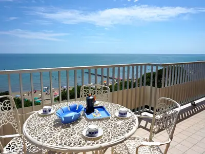 ViewSummer