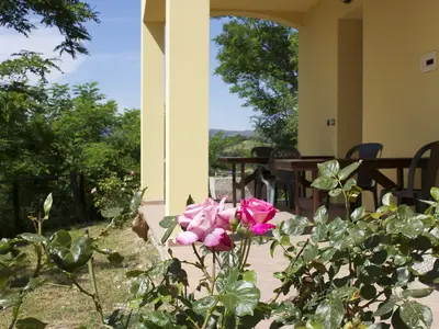 TerraceBalcony