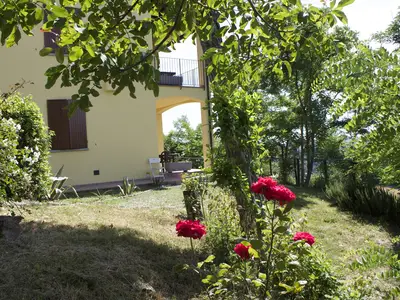 GardenSummer