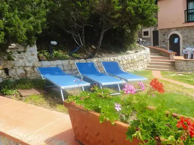 ViewSummer