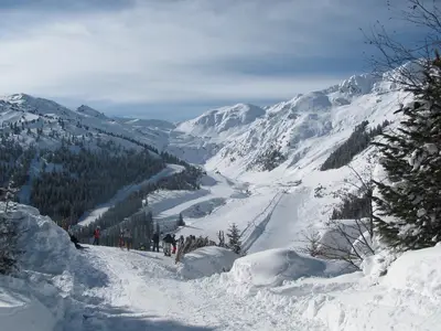 AreaWinter1KM