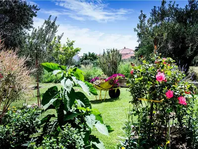GardenSummer
