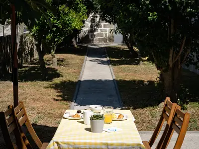 GardenSummer