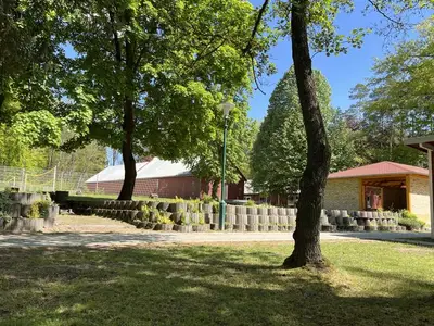 Ferienwohnung für 3 Personen (45 m²) in Weißwasser 6/10