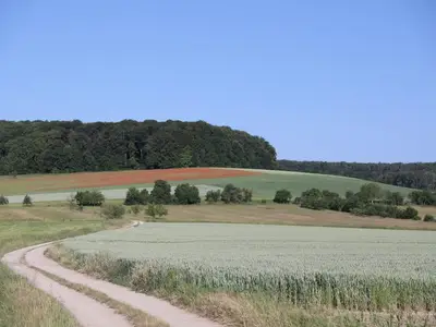 Ferienwohnung für 6 Personen (120 m²) in Blieskastel 7/10