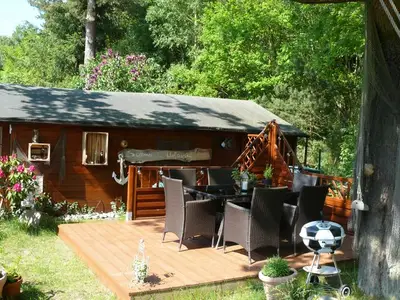 Ferienwohnung für 3 Personen (51 m²) in Binz (Ostseebad) 2/10
