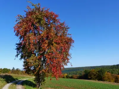 Ferienwohnung für 2 Personen (60 m²) in Kirchzell 5/10