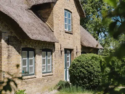 Ferienwohnung für 4 Personen (80 m²) in Schwabstedter Westerkoog 2/10