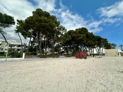 Bild 7