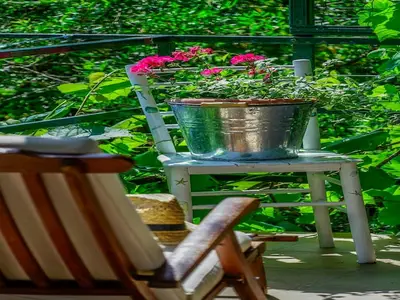terrace