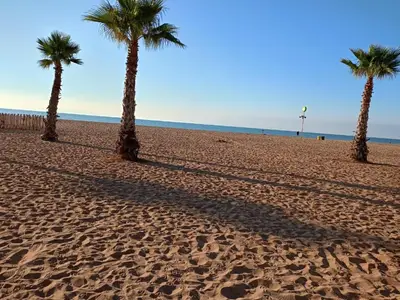 AreaSummer20KM