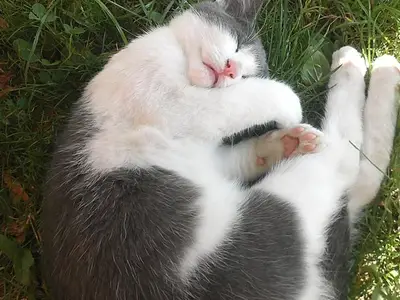 Für Erholung ist hier gesorgt