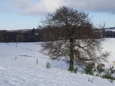Hirtscheid Hills im Winter