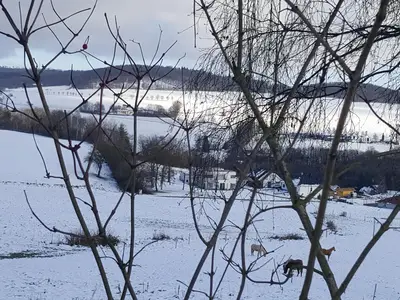 Winterimpression