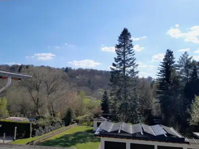 Blick in den Garten und Wald