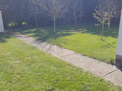 Wiese mit Obstbäumen