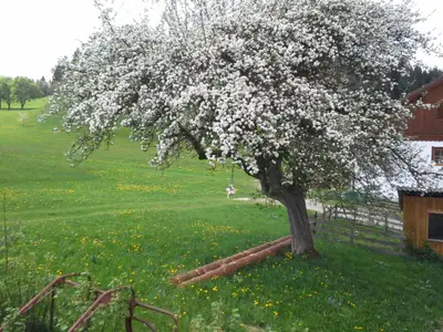 Frühjahr