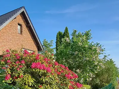 Haus im Sommer - Blumenpracht
