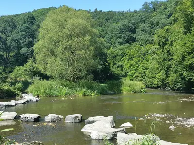 Flusslauf