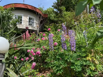 Casa Schindler Garten