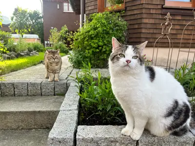 Max und Mia