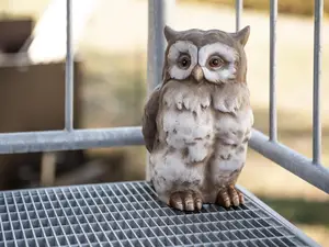 Ferienwohnung für 4 Personen (90 m²) in Reimsbach