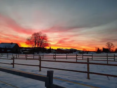 Sonnenaufgang über den Koppeln